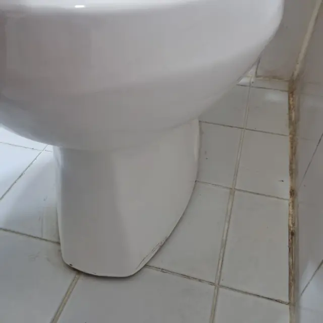 갈라지고 때 탄 둘레 백시멘트 — 변기 둘레·테두리 백시멘트 걷어내고 재시공