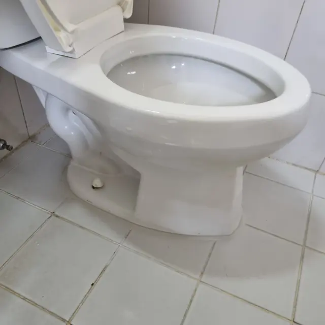새로 채운 둘레 — 변기 둘레·테두리 백시멘트 걷어내고 재시공