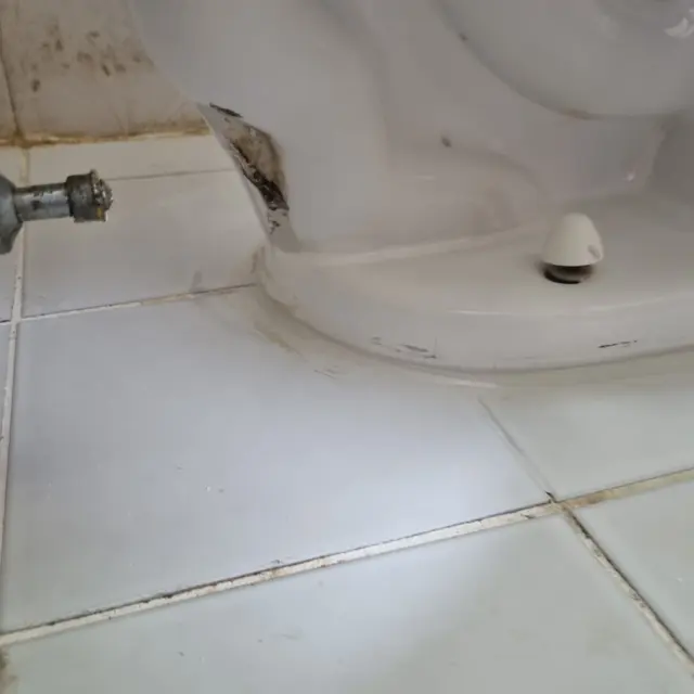 변기 뒤쪽 둘레 — 변기 둘레·테두리 백시멘트 걷어내고 재시공